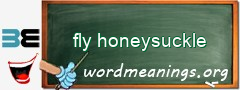 WordMeaning blackboard for fly honeysuckle